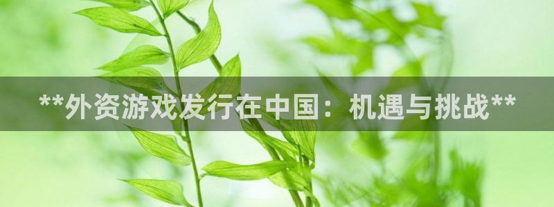 新城平台注册流程及费用：**外资游戏发行在中国：机遇与挑战**