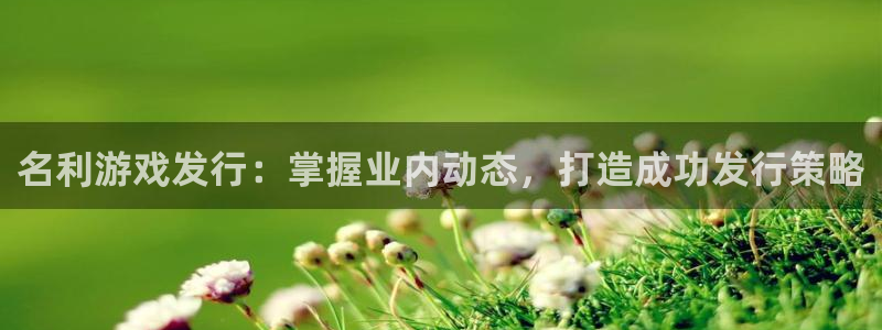新城平台注册网址是多少：名利游戏发行：掌握业内动态，打造成功发行策略