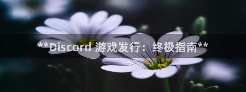 新城平台线路登录不上去怎么回事呢：**Discord 游戏发行：终极指南**