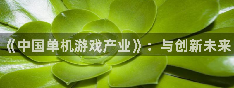 新城平台入.新城平台.全国联网是什么意思