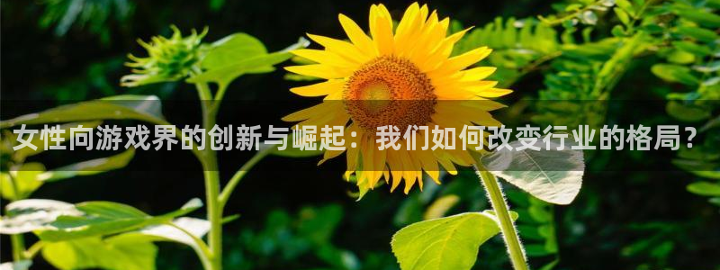 新城平台注册登录地址怎么填