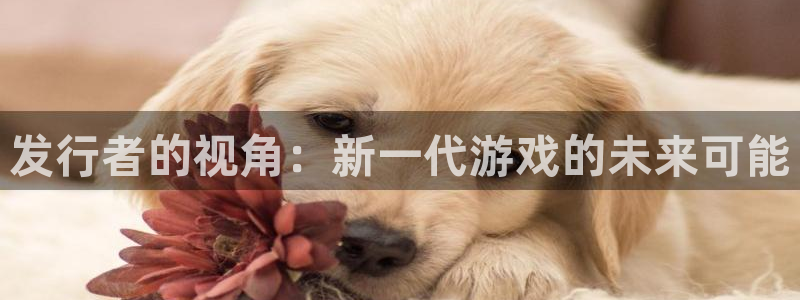 新城平台注册登录地址是什么
