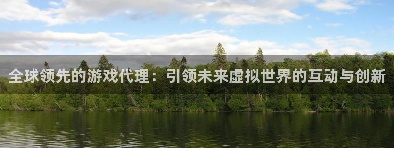 新城平台公司是国企吗