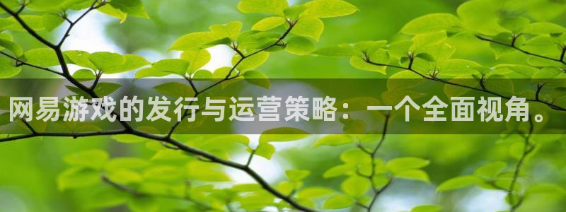 新城平台代理怎么样