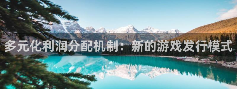 新城平台注册公司流程视频