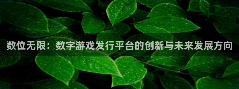 新城平台革7O777