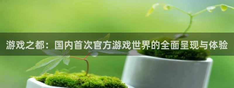 新城平台平台最新活动信息