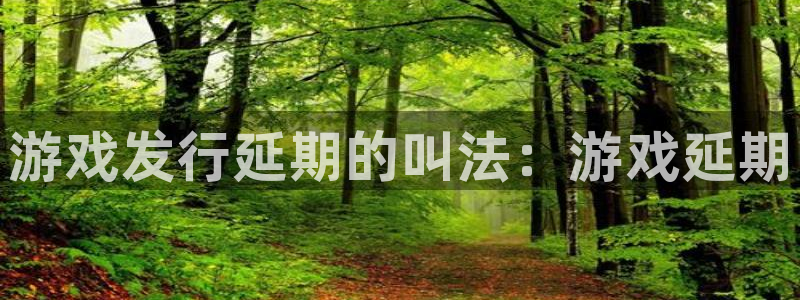 新城平台授权注册：游戏发行延期的叫法：游戏延期