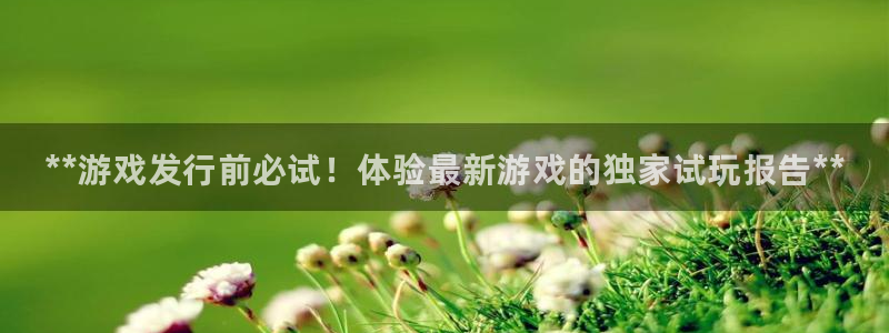 新城平台官网