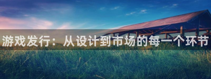 新城平台登录入口官网查询