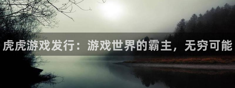 新城平台平台最新活动：虎虎游戏发行：游戏世界的霸主，无穷可能