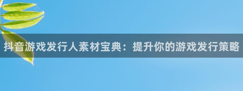新城平台注册公司流程图：抖音游戏发行人素材宝典：提升你的游戏发行策略