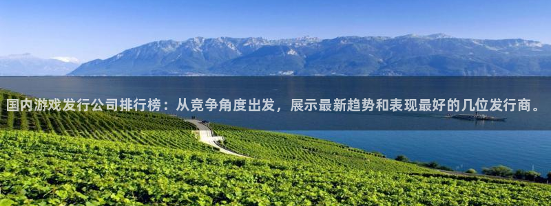 新城平台注册：国内游戏发行公司排行榜：从竞争角度出发，展示最新趋势和表现最好的几位发行商。