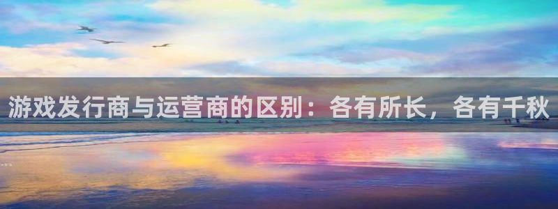 新城平台注册资金多少钱：游戏发行商与运营商的区别：各有所长，各有千秋