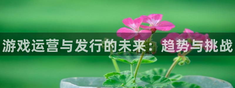 新城平台官网注册：游戏运营与发行的未来：趋势与挑战