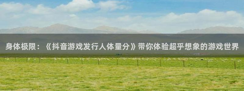 新城平台登录入口官网查询系统