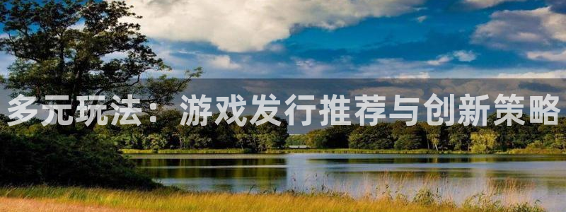 新城平台登录入口网站：多元玩法：游戏发行推荐与创新策略